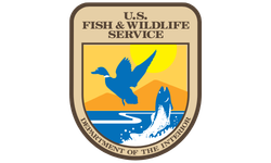U.S. Fish & Wildlife Service